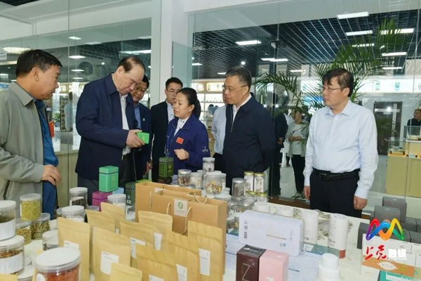 中国国际茶研会会长考察药茶 关于药茶发展提出建议