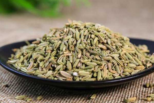入药茴香小居多-中药文化-山西药茶网-茶的味道,药的功效