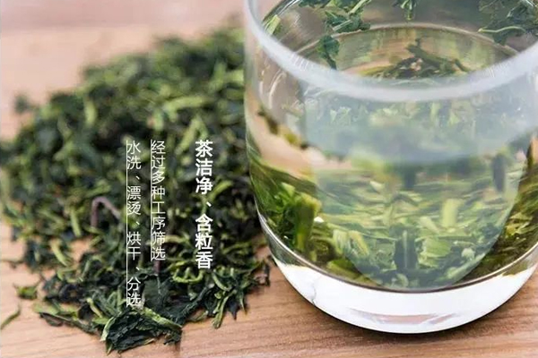 蒲公英茶,山西药茶